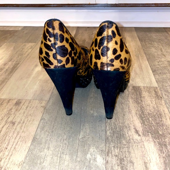 Leopard heals - Picture 3 of 4